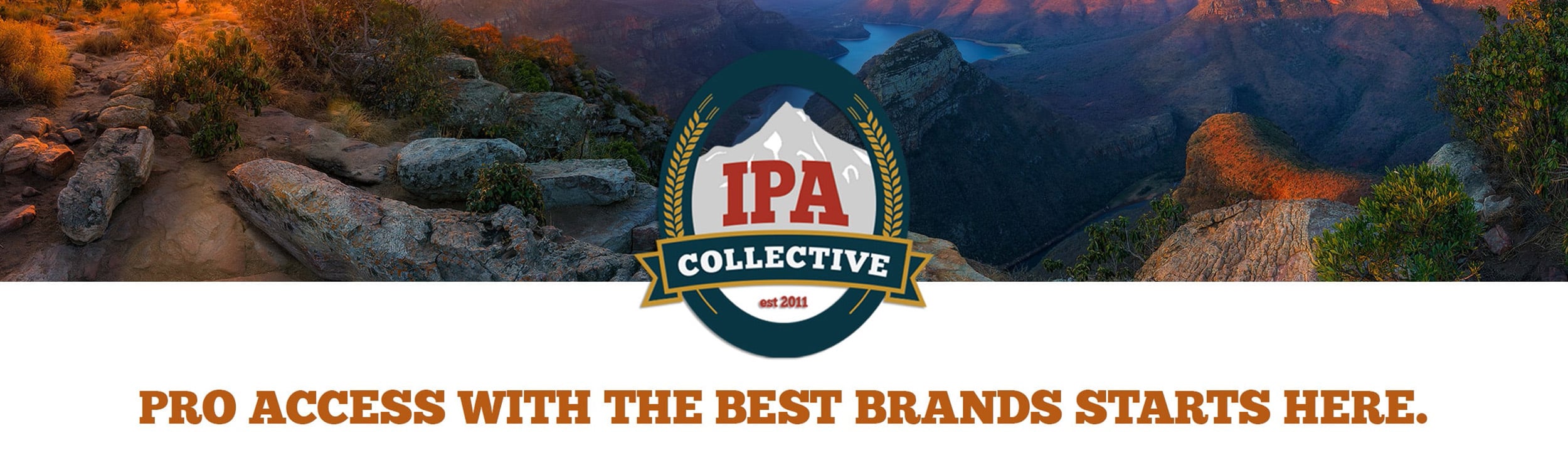 IPA Collective logo